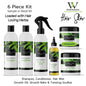 6 Piece Herb Infused Hair Growth System  - Hair Star Collection